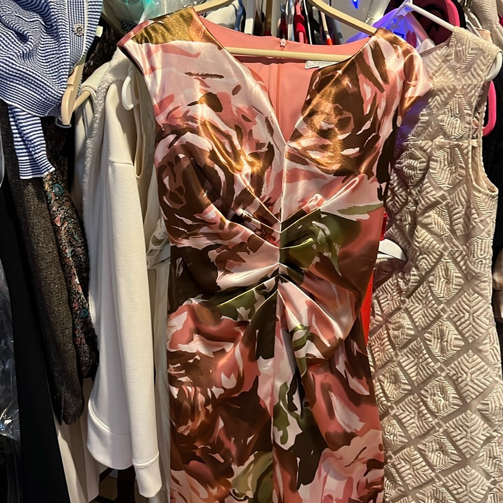Gorgeous, Pink And Brown Cinched Waist Rose Printed Dress 4P